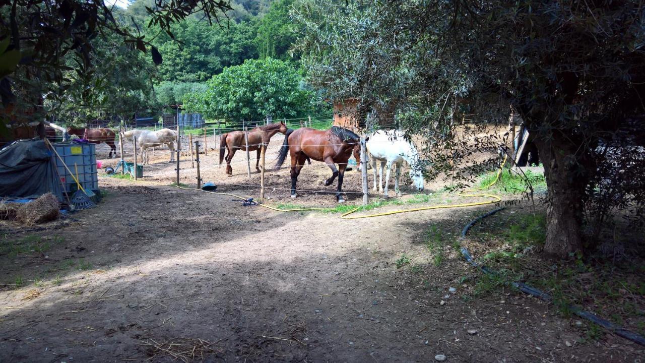 Baie Des Anges Appartement Bis فينوف لوبيه المظهر الخارجي الصورة
